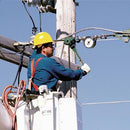 -Crane Scale-[vendor]