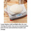 V71P3T (30031828), Valor 7000 Food Scale, Bench Scale: Food Safe, OHAUS